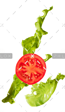 demo-attachment-87-lettuce_tomato@2x